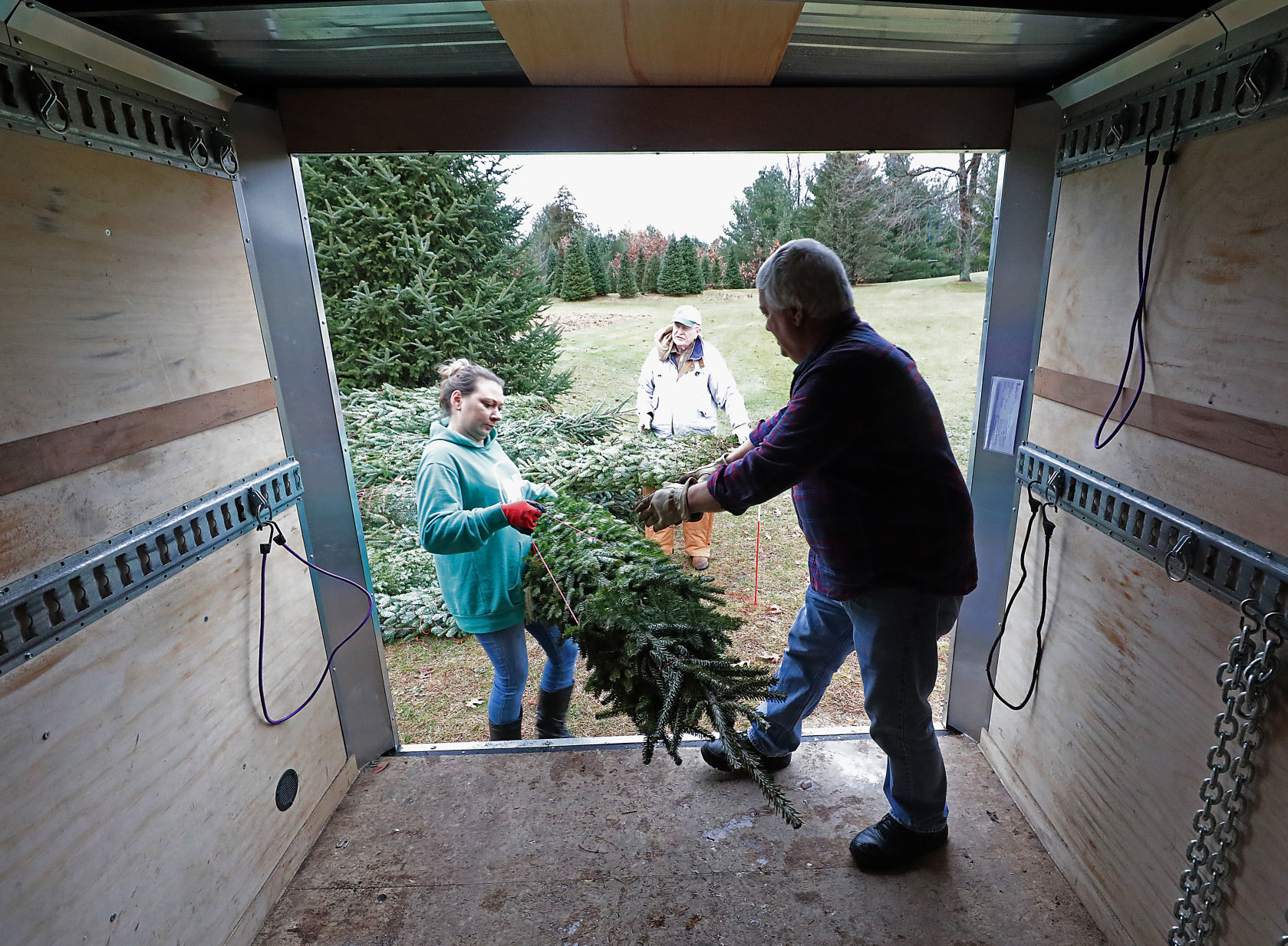 Christmas Trees